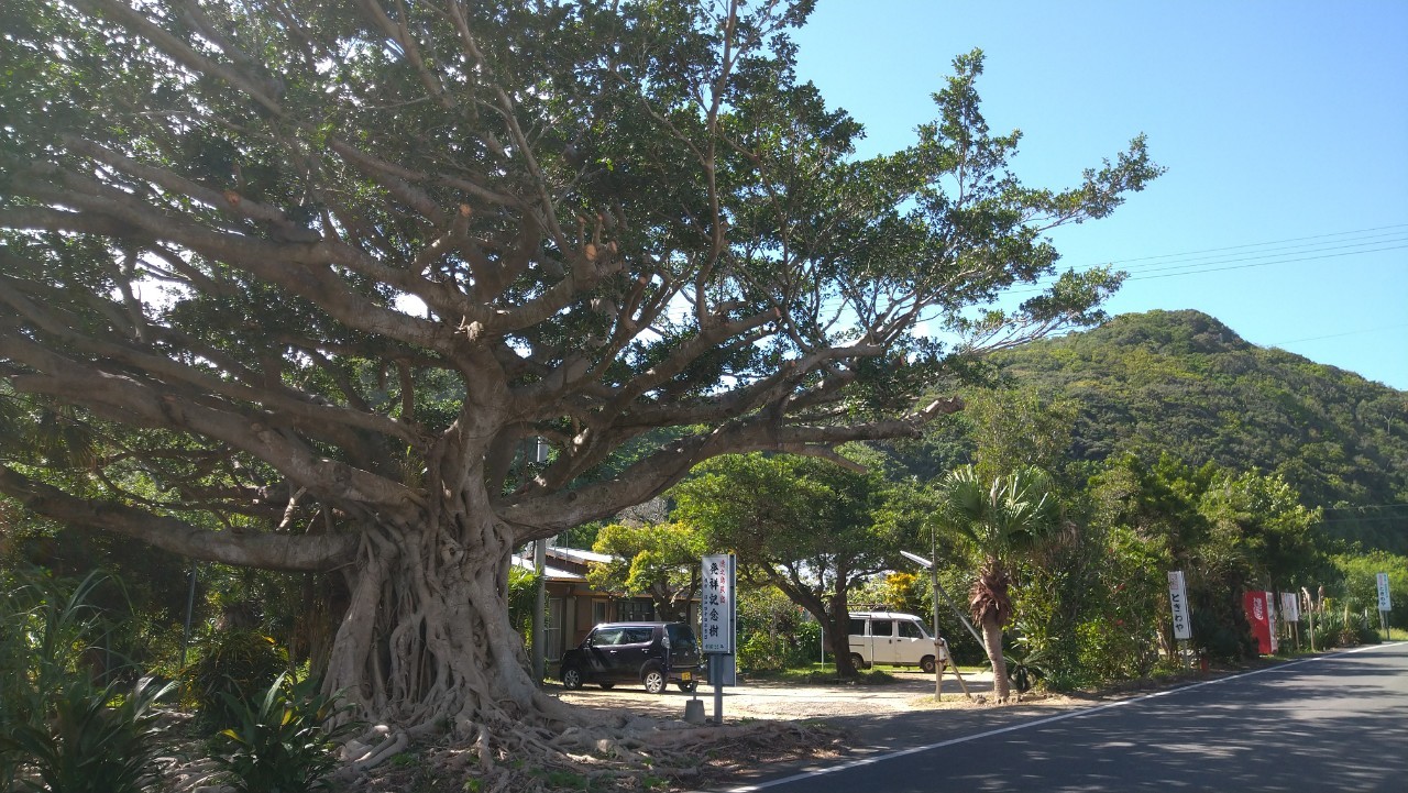 ときわやー徳之島の民宿